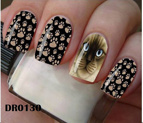 Unha Decorada Gato