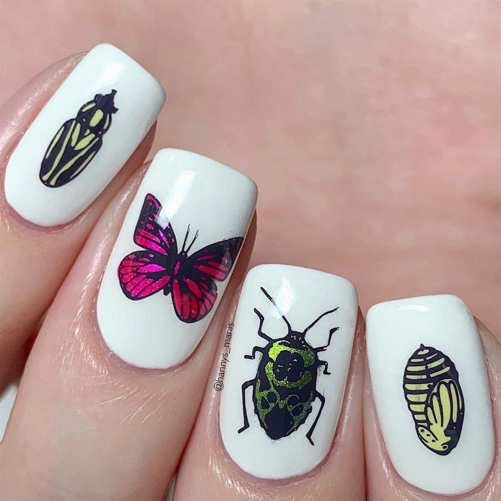 Butterfly Wing Powder Nail Art
