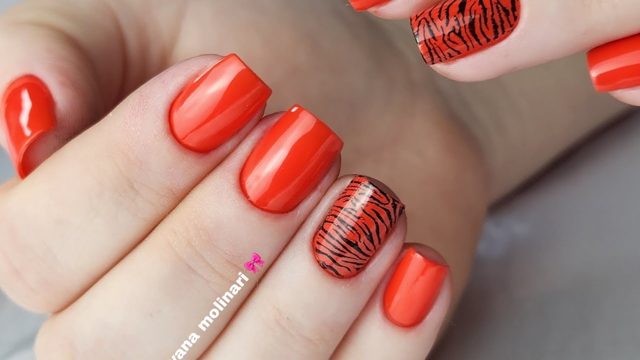 Unha Decorada Zebra
